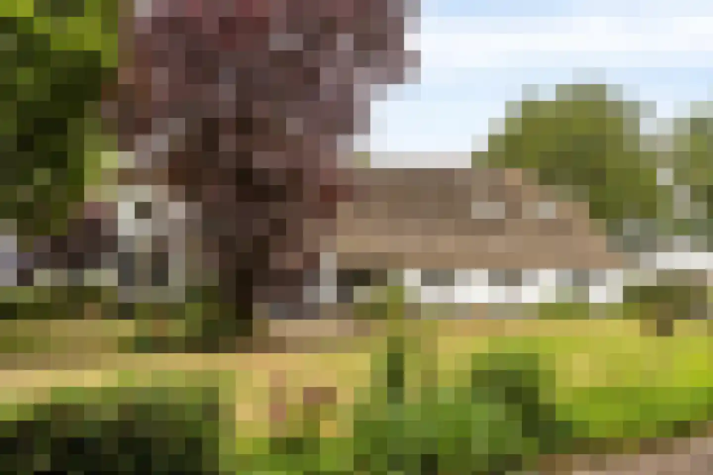 Brenksestraat 6 Echteld thumbnail 48