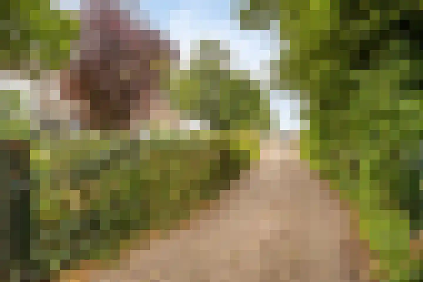 Brenksestraat 6 Echteld thumbnail 5