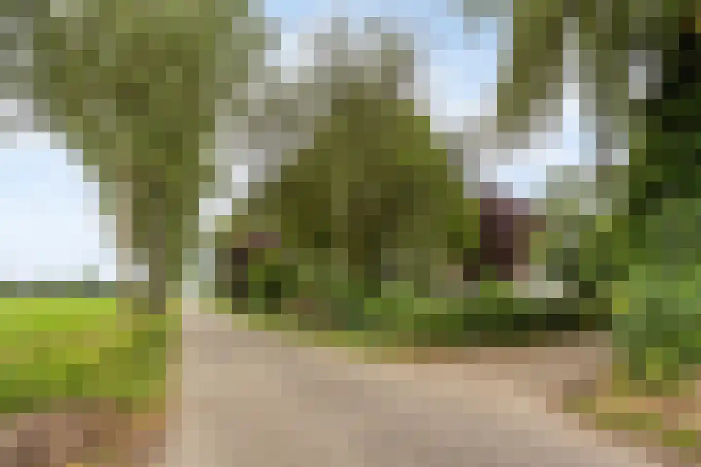 Brenksestraat 6 Echteld thumbnail 50