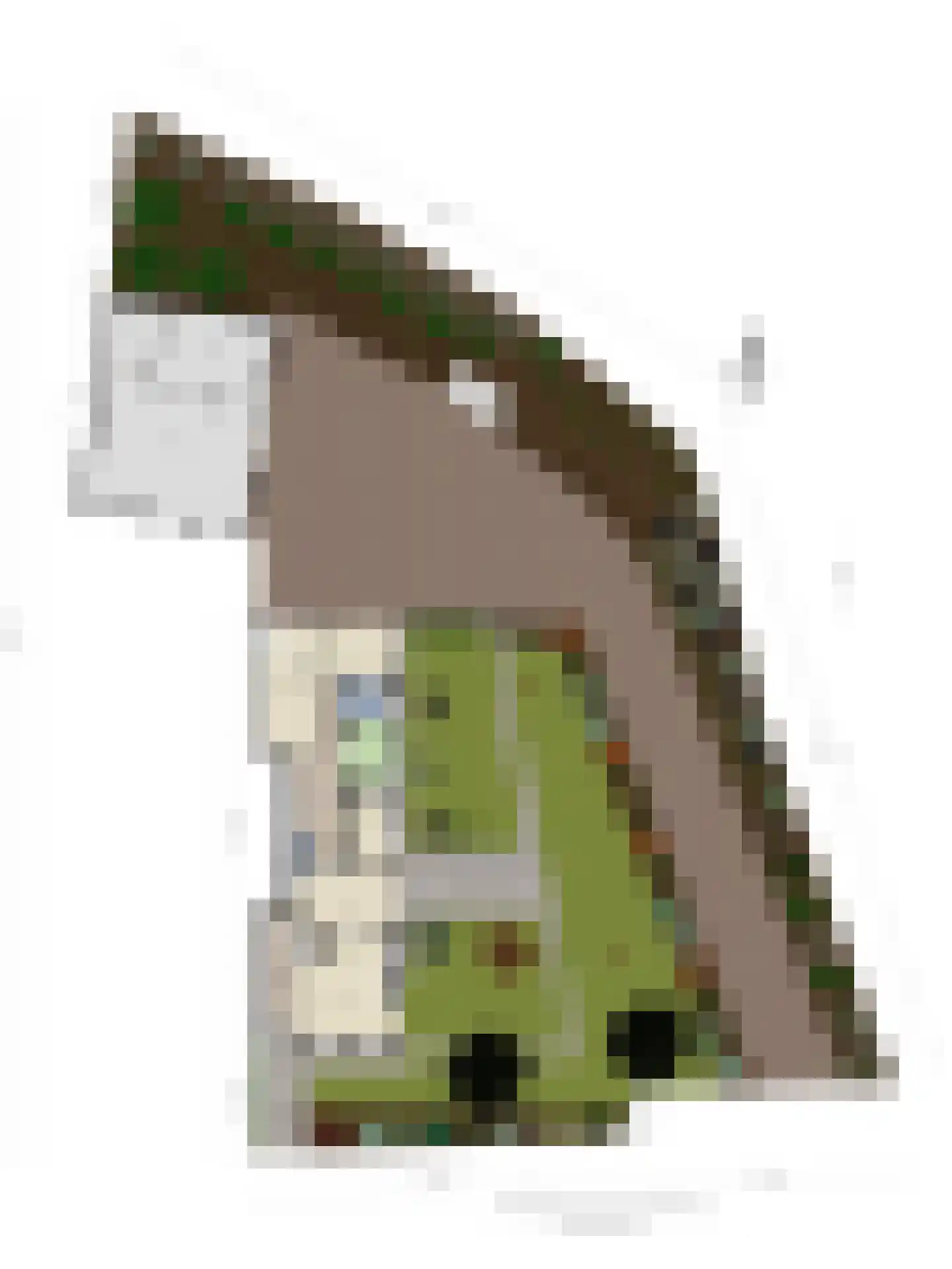 Brenksestraat 6 Echteld thumbnail 55