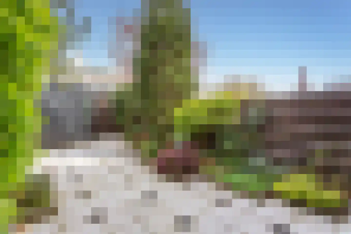 Brenner 64 Amsterdam thumbnail 12