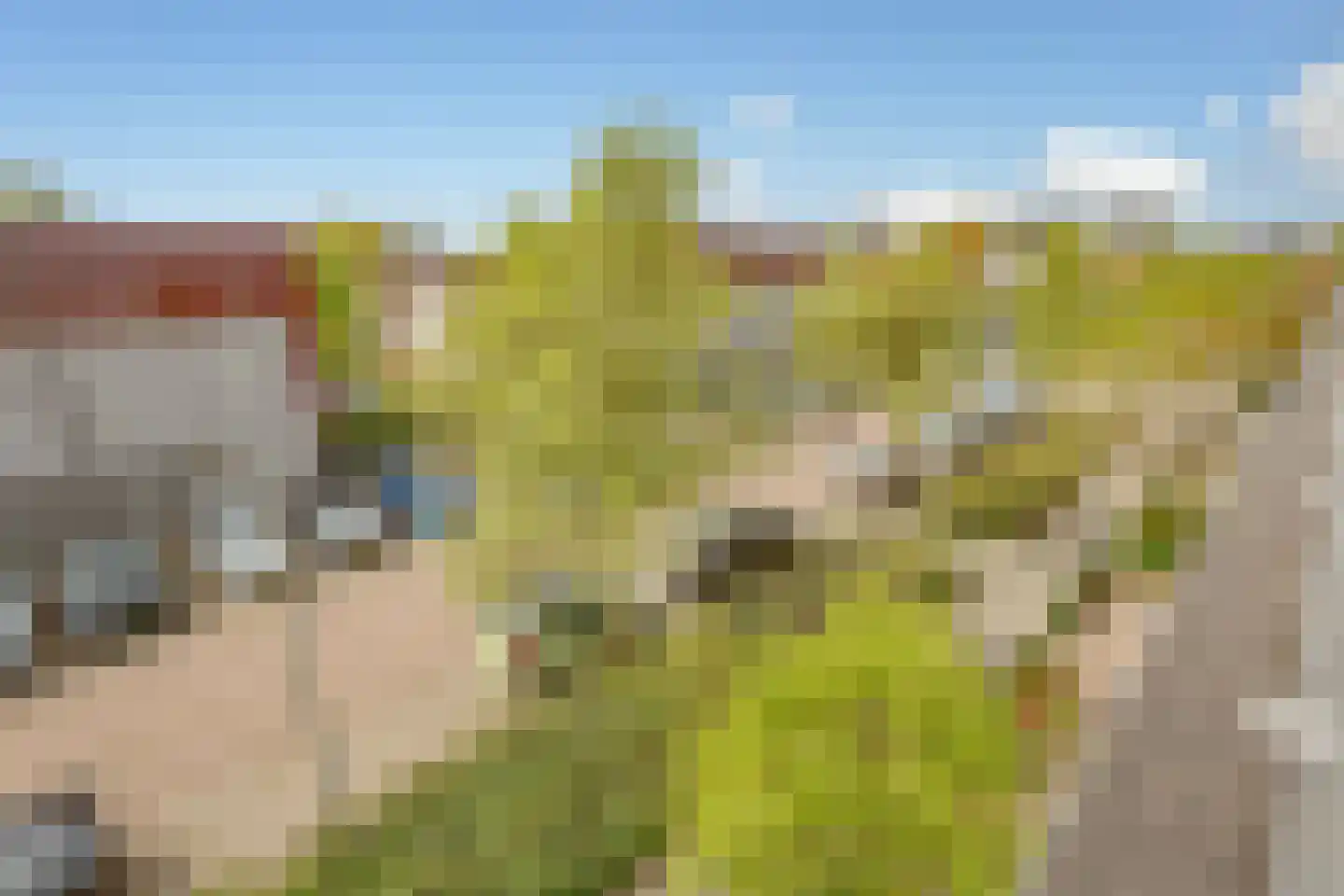 Brenner 64 Amsterdam thumbnail 35