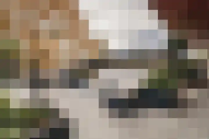 Brenner 75 Amsterdam thumbnail 21