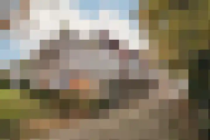Brenner 75 Amsterdam thumbnail 28