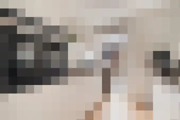 Brenner 75 Amsterdam thumbnail 8