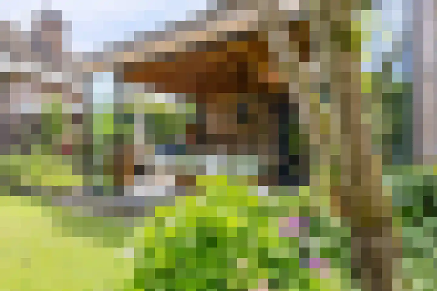 Brennerlaan 3 Venray thumbnail 44