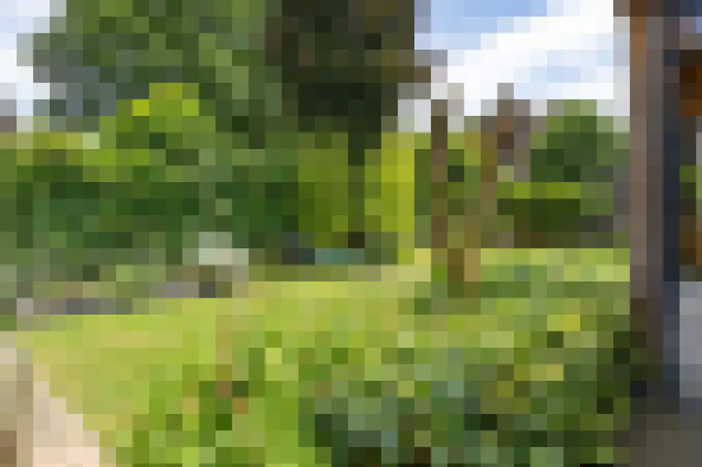 Brennerlaan 3 Venray thumbnail 48