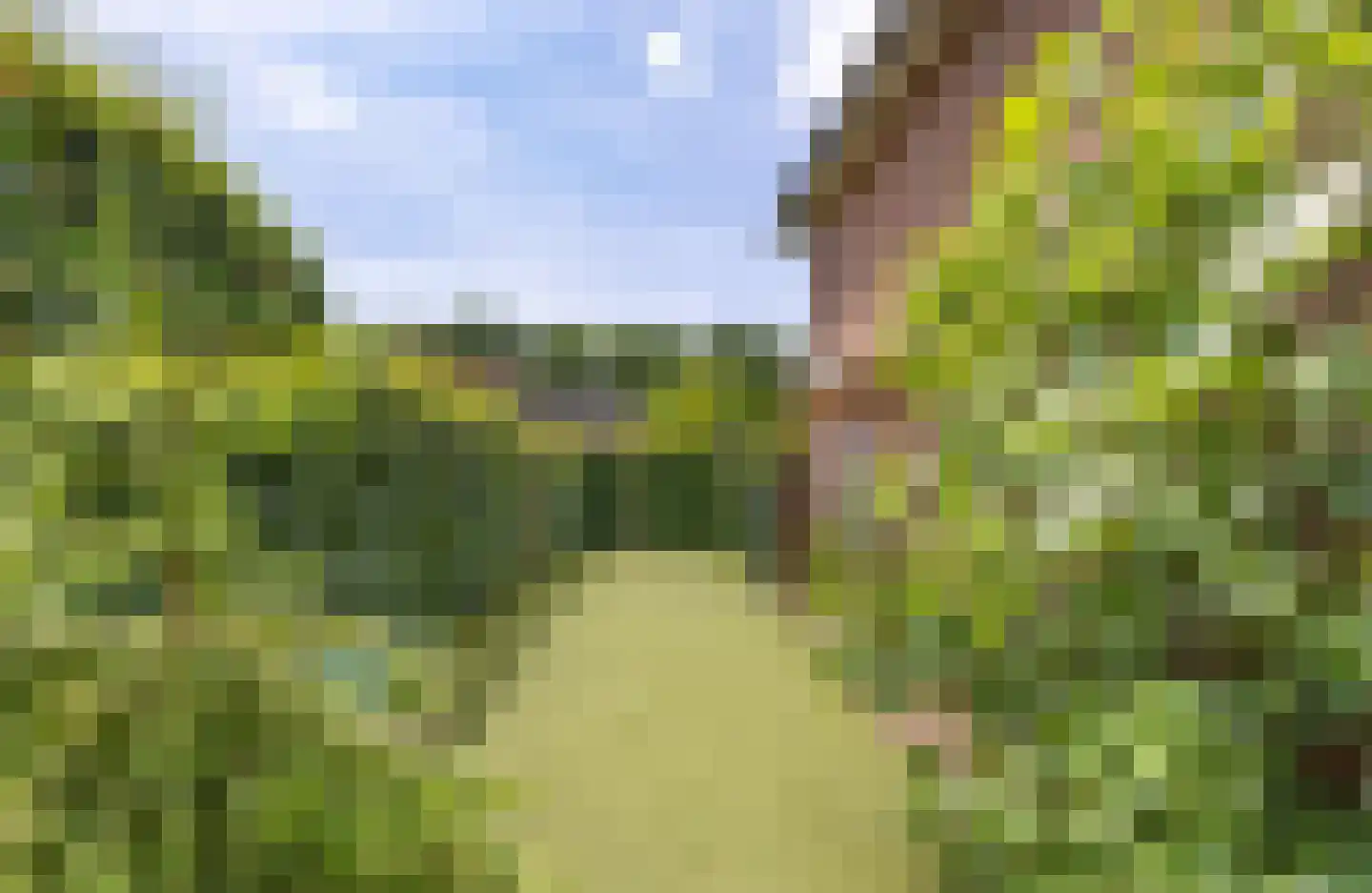 Brennerlaan 3 Venray thumbnail 51