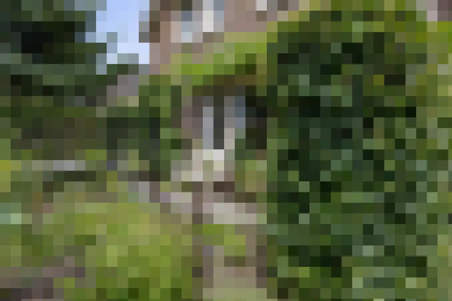Brennerlaan 3 Venray thumbnail 54