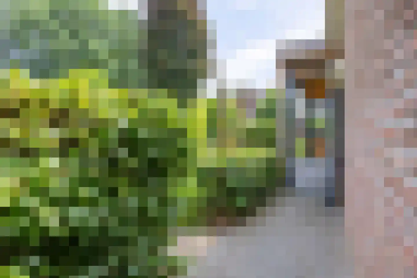 Brennerlaan 3 Venray thumbnail 56
