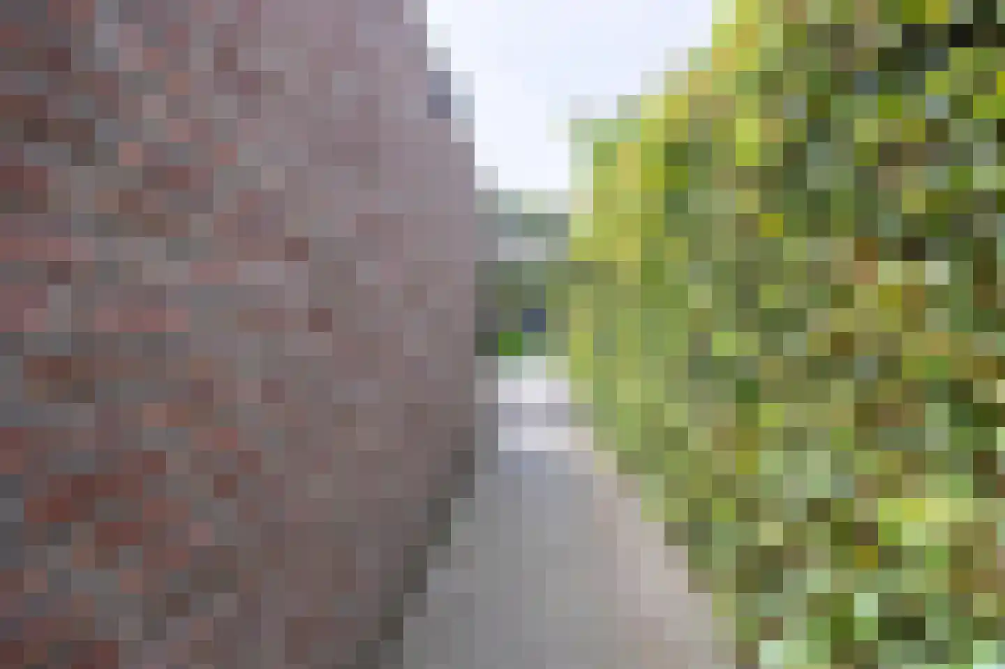 Brennerlaan 3 Venray thumbnail 58