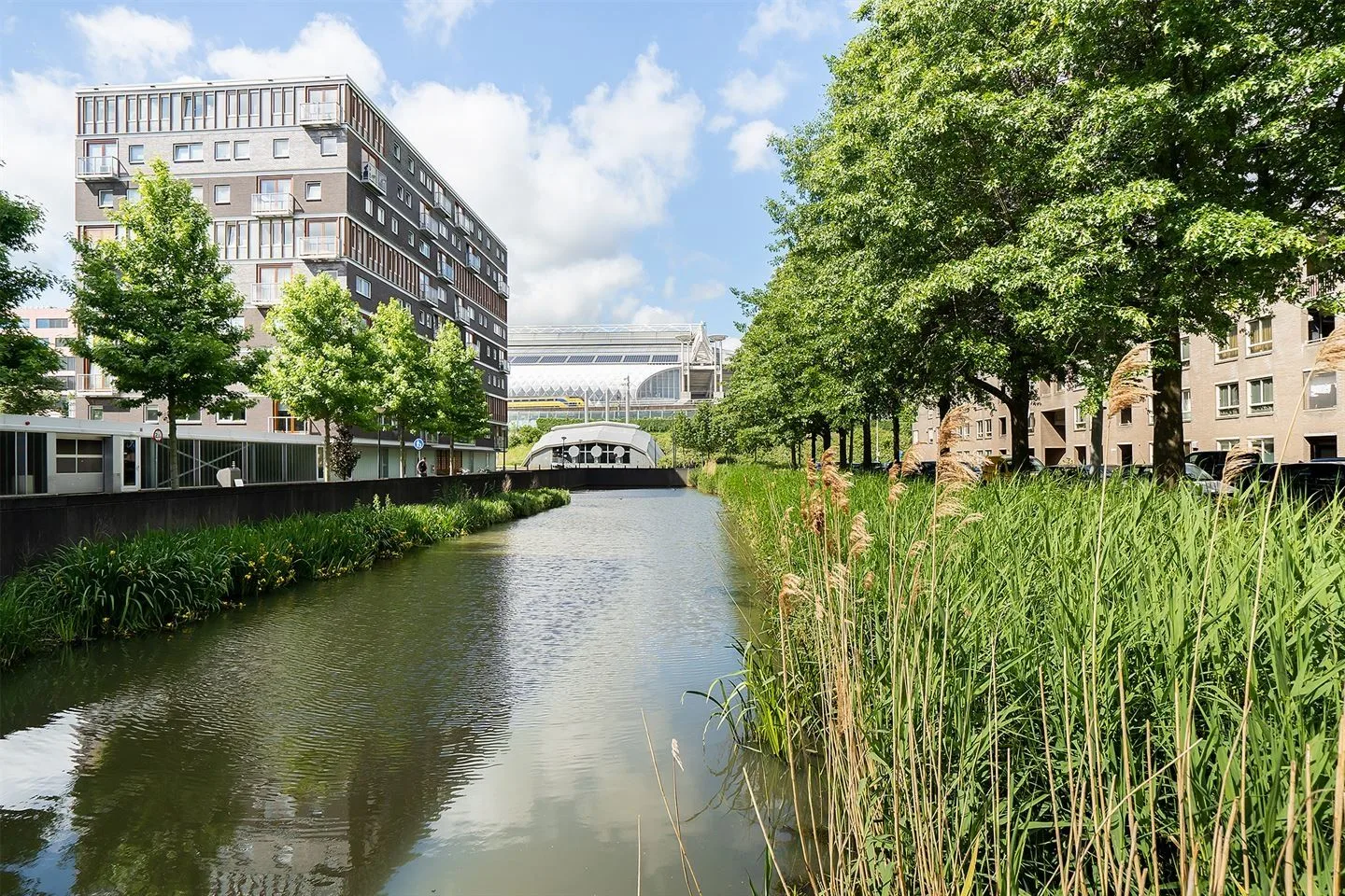 Brentanostraat 164 Amsterdam foto 3