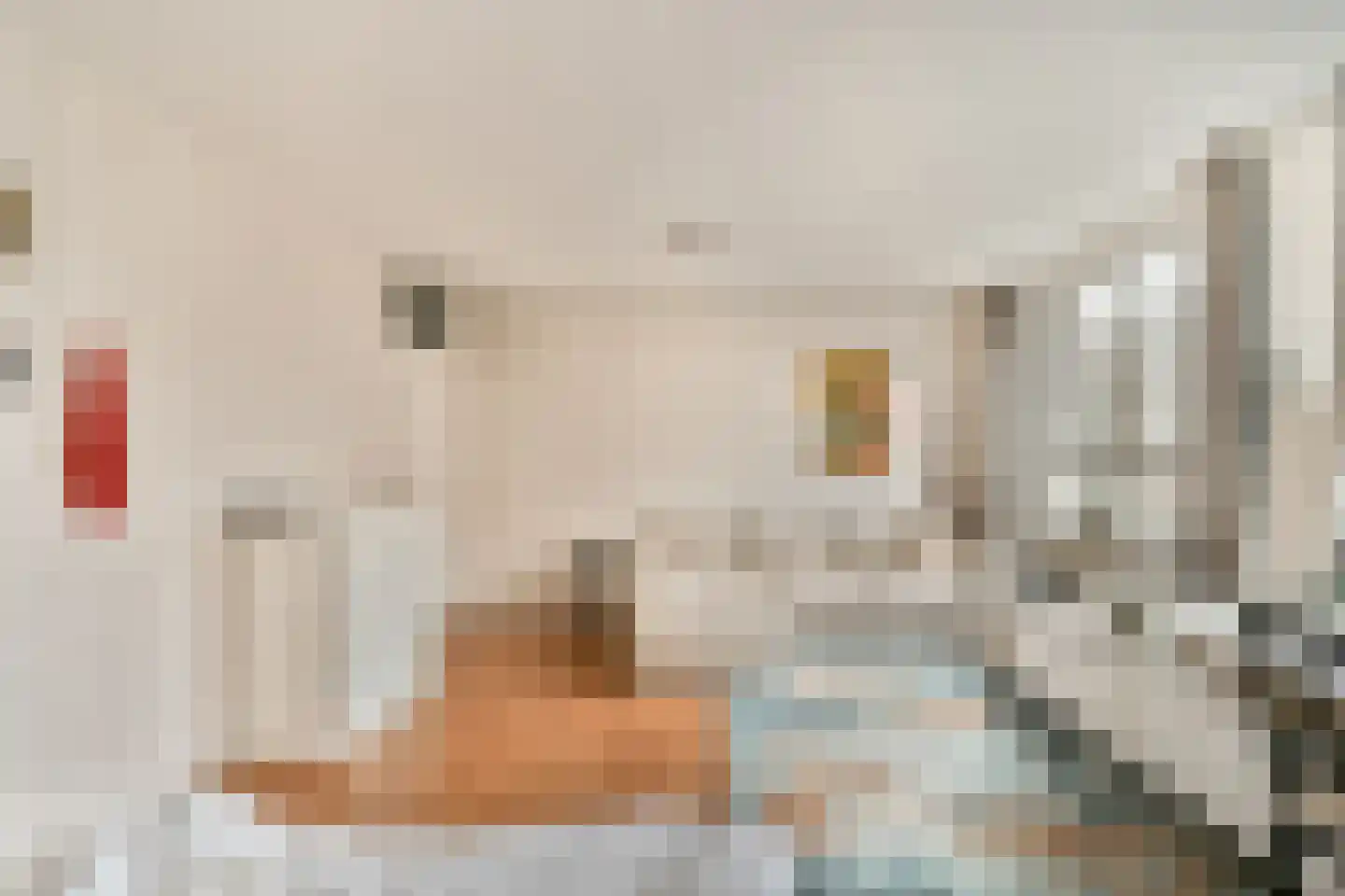 Brentanostraat 180 Amsterdam thumbnail 4