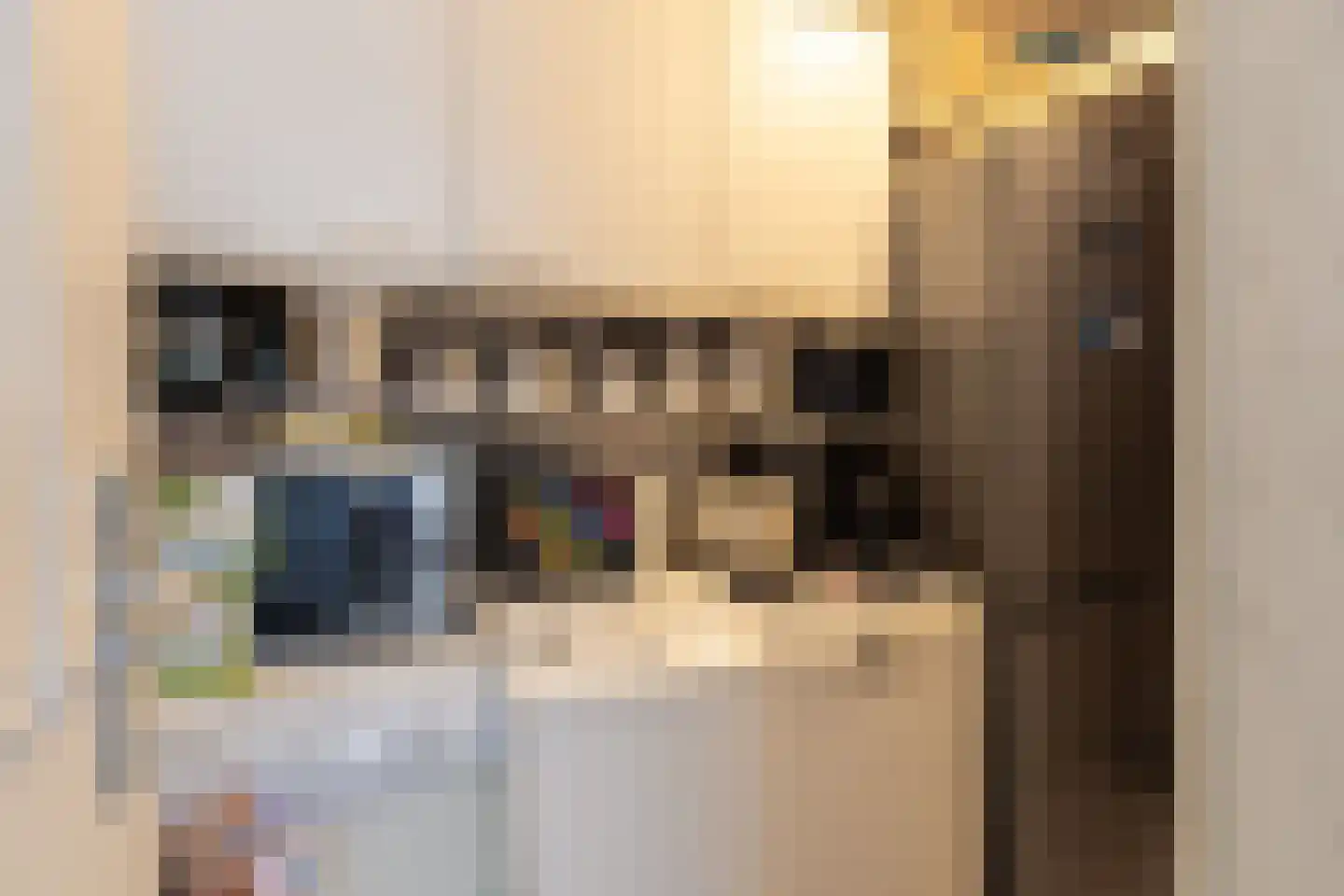 Breskensstraat 40 Tilburg thumbnail 10