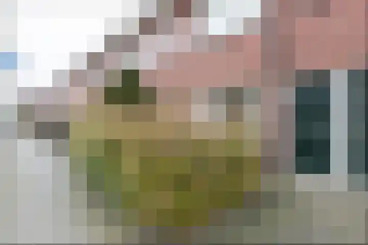 Bresterstraat 56 in Den Haag