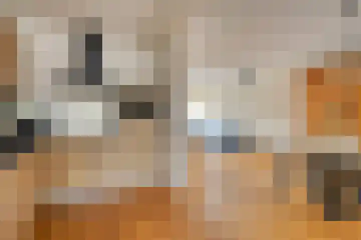 Bretagnehof 1 Eindhoven thumbnail 14