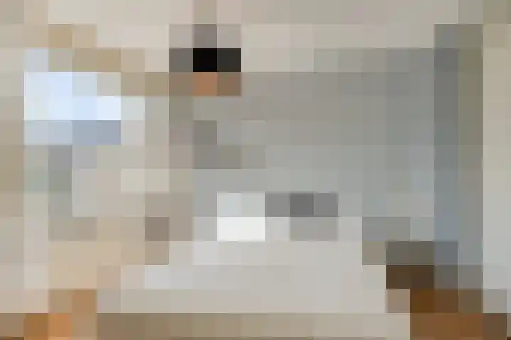 Bretagnehof 1 Eindhoven thumbnail 20