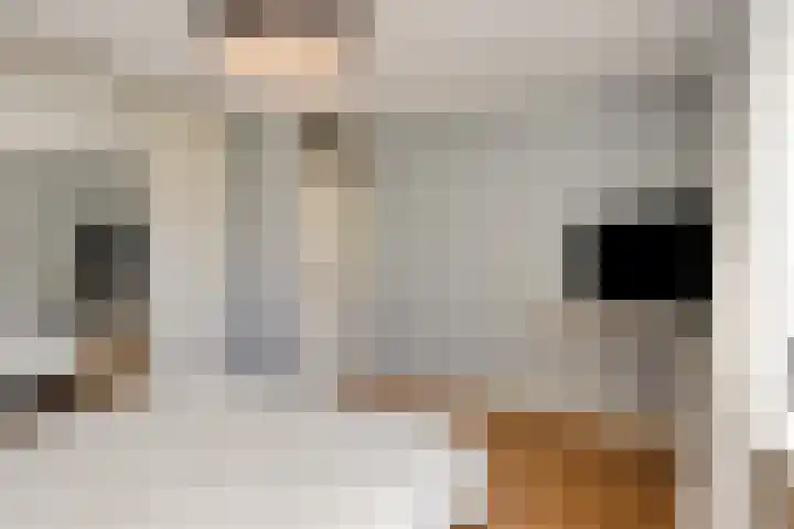 Bretagnehof 1 Eindhoven thumbnail 21