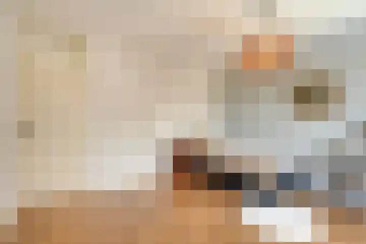 Bretagnehof 1 Eindhoven thumbnail 25