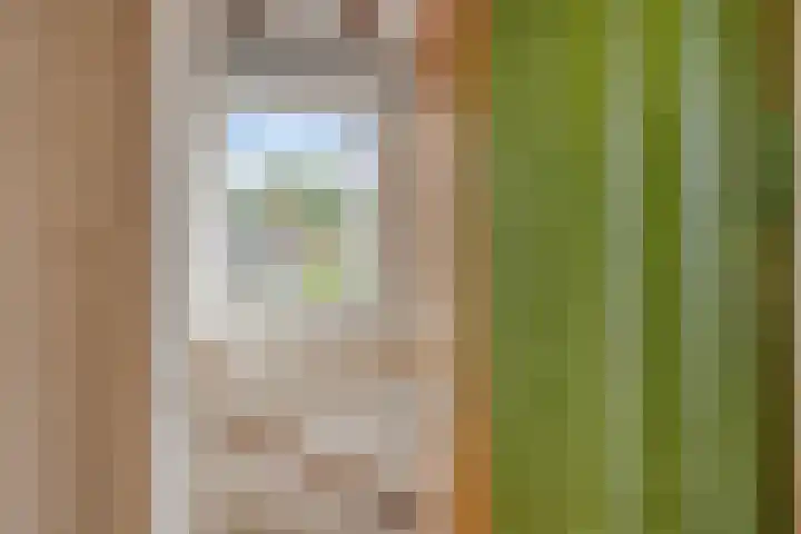 Bretagnehof 1 Eindhoven thumbnail 29