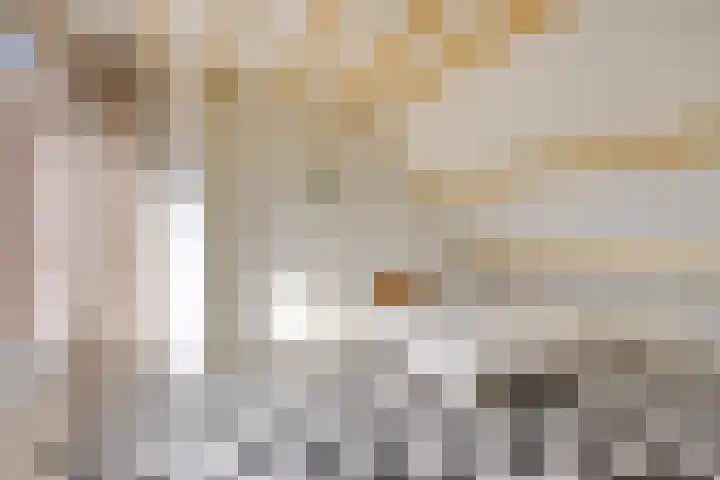 Bretagnehof 1 Eindhoven thumbnail 30