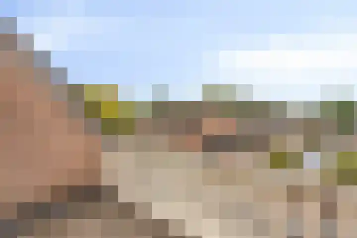 Bretagnehof 1 Eindhoven thumbnail 32