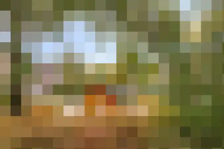 Bretagnehof 1 Eindhoven thumbnail 42