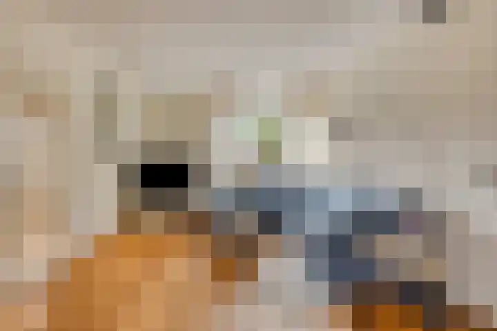 Bretagnehof 1 Eindhoven thumbnail 8