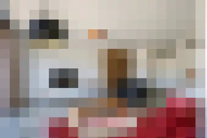 Bretagnesingel 134 Heteren thumbnail 17