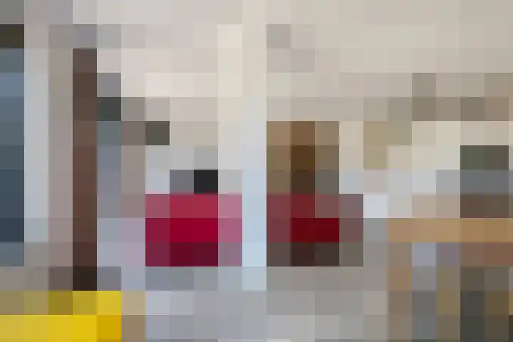Bretagnesingel 134 Heteren thumbnail 21