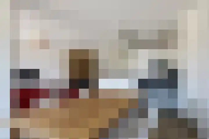 Bretagnesingel 134 Heteren thumbnail 22
