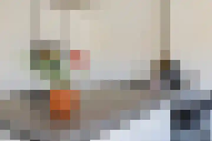 Bretagnesingel 134 Heteren thumbnail 25
