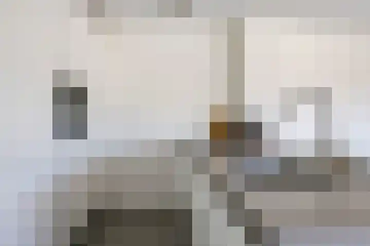 Bretagnesingel 134 Heteren thumbnail 27