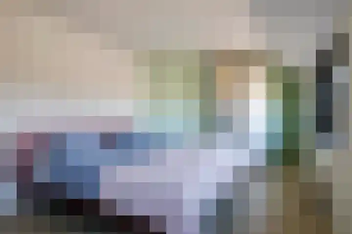 Bretagnesingel 134 Heteren thumbnail 33