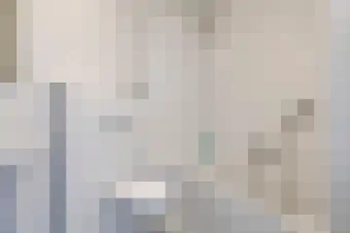 Bretagnesingel 134 Heteren thumbnail 37