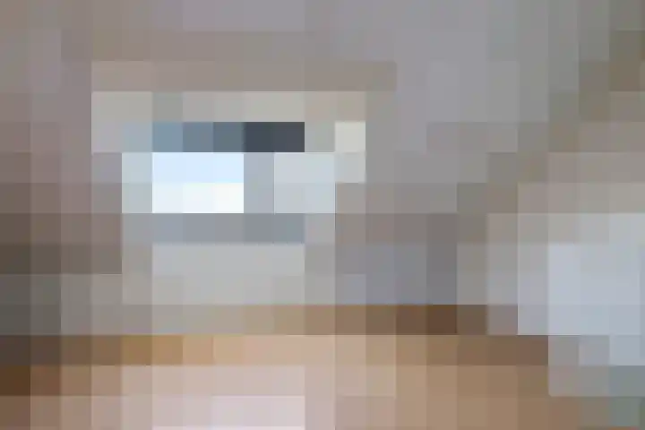 Bretagnesingel 134 Heteren thumbnail 44