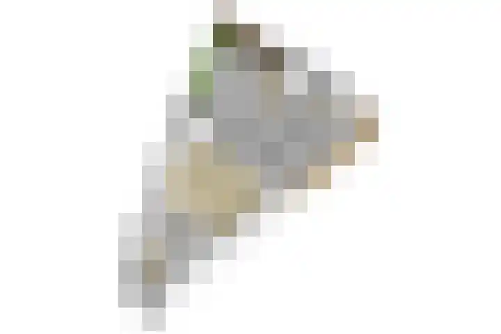 Bretagnesingel 134 Heteren thumbnail 47