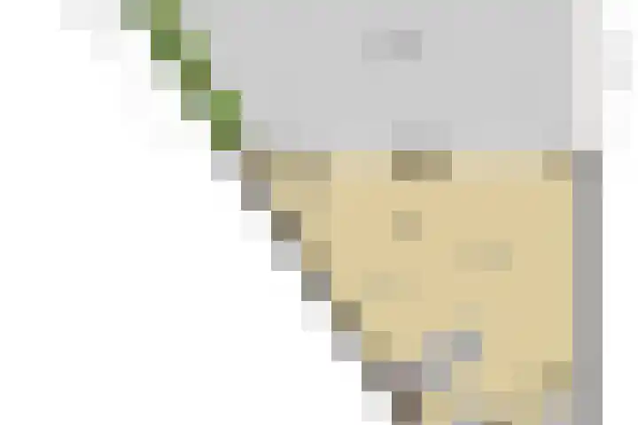 Bretagnesingel 134 Heteren thumbnail 5