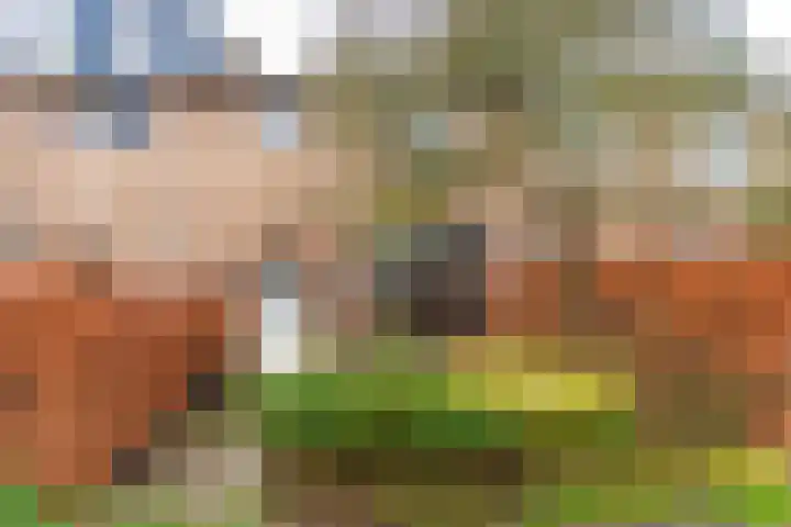 Bretagnesingel 134 Heteren thumbnail 53