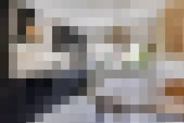 Bretagnesingel 14 Heteren thumbnail 13