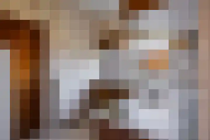 Bretagnesingel 14 Heteren thumbnail 16