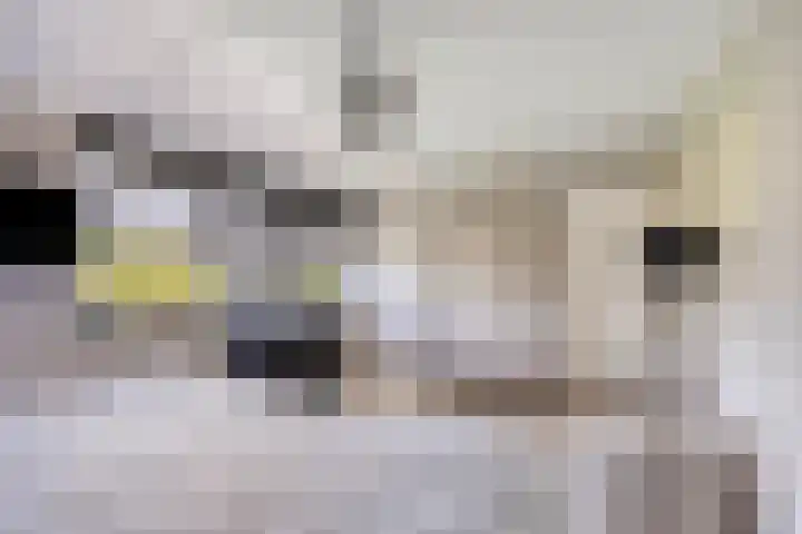 Bretagnesingel 14 Heteren thumbnail 19