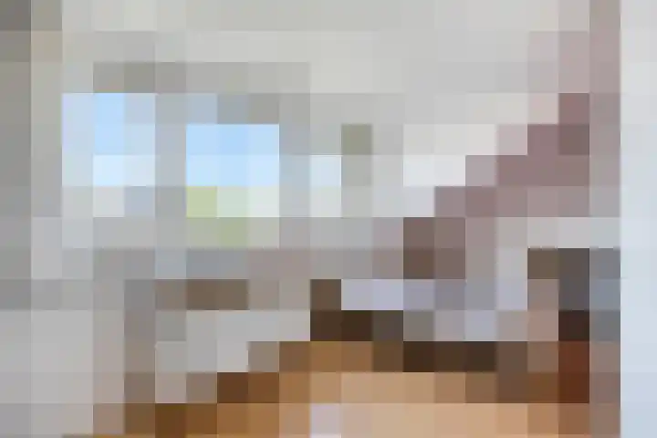Bretagnesingel 14 Heteren thumbnail 27