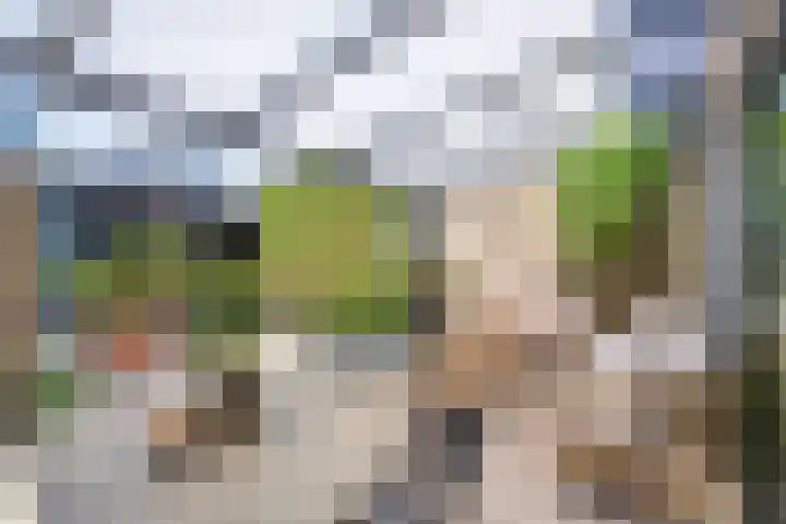 Bretagnesingel 14 Heteren thumbnail 30