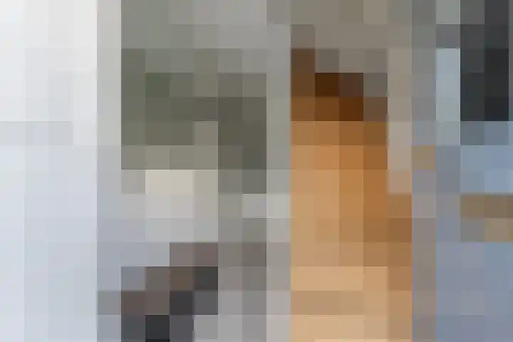 Bretagnesingel 14 Heteren thumbnail 34