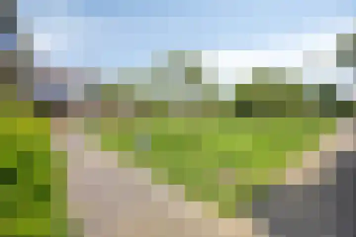 Bretagnesingel 14 Heteren thumbnail 37