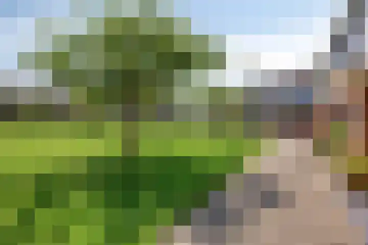 Bretagnesingel 14 Heteren thumbnail 38