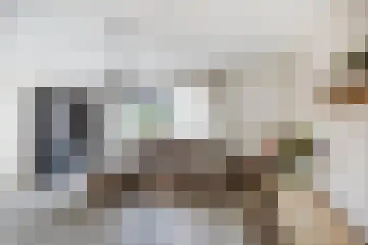 Bretagnesingel 14 Heteren thumbnail 9