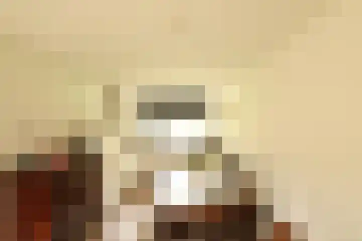 Bretagnesingel 142 Heteren thumbnail 11