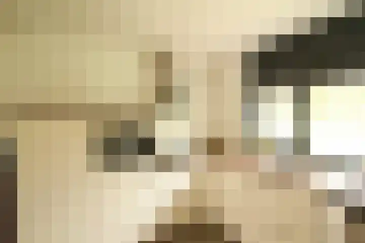 Bretagnesingel 142 Heteren thumbnail 12